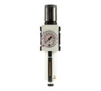 RIEGLER 139495-FU 814-M-16 - Regulador de filtro "FUTURA", MB, SR, Mano, BG 2, G 1/2, 0,5-16 bar, HA, 1 unidad