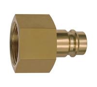 RIEGLER 141574-419.55 - Boquilla para embragues NW 19, latón brillante, G 1 IG, 1 unidad