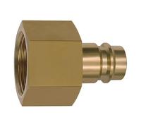 RIEGLER 141575-419.56 - Boquilla para embragues NW 19, latón brillante, G 1 1/4 IG, 1 unidad