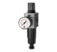 RIEGLER 142428-FUM 811 M-10 FUTURA-Mini - Regulador de filtro de metal Std.mano, HA, G 1/4, 0,5-10, 1 unidad