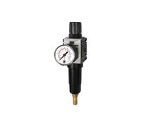 RIEGLER 142434-FUM 821 M-10 FUTURA-Mini - Regulador de filtro de metal Std.mano, VA, G 1/4, 0,5-10, 1 unidad