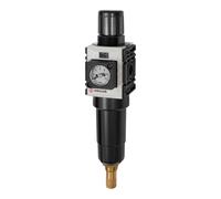 RIEGLER 142437-FUM 821 M-10-KM FUTURA-mini - Regulador de filtro MBeh, Compact mano, VA, G 1/4, 0,5-10, 1 unidad