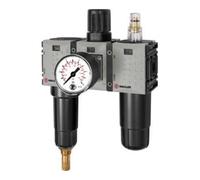 RIEGLER 142512-FUM 633 M-8 WE FUTURA Mini, metal, Stand.mano, G 1/4, 0,5-8, VA, 1 unidad