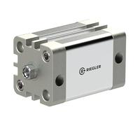 RIEGLER 15.DMI.100070 Serie ACE - Cilindro compacto, doble acción, IG, imán, pistón de 100 mm, hub de 70 mm, conector G de 1/8", M12 x 1,75, barras de pistón
