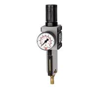 RIEGLER 151839-FU 821-M-2 - Regulador de filtro FUTURA MB, SR, Mano, BG 1, G 1/4, 0,1-2 bar, VA, 1 unidad