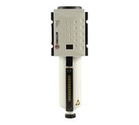 RIEGLER 156566-FU 861-M FUTURA - Prefiltro (0,3 µm, BG1, G 1/4, VA, 1 unidad)