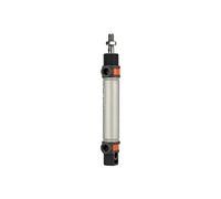 RIEGLER DM.25125 105725-8.DM.25125 - Cilindro redondo (TP doble trenza, imán, diámetro de pistón 25, carrera 1/8, 1 unidad)