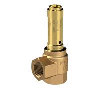 Riegler - Esquina válvula de seguridad f. saturado de vapor g1 / 2 carcasa de bronce de cañón sw