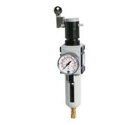 RIEGLER FU 6120-10 FUTURA - Regulador de filtro con depósito de policarbonato, cesta protectora y manómetro, totalmente automático, tamaño 4, 0,5-10 bar, G 3/4"