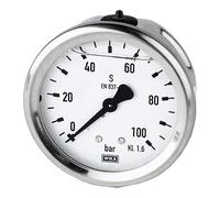 Riegler - Glicerina g1 / 4 reset. 63mm clase 0-60bar carcasa de acero inoxidable de 1,6