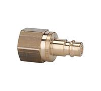 Riegler - Pezón nw 7.2 g1 / 8 en el interior din en iso 228-1 cerrada en ambos lados.