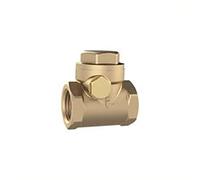 RIEGLER RK212MSE - Válvula antirretorno (DN 65, hierro fundido, G 2 1/2, PN Max. 16 bares.