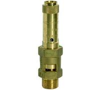 RIEGLER Válvula de seguridad 152237-229.05-3,9, latón, G 1 1/2, presión de respuesta 3,9 bar, 1 unidad