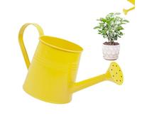 Riego de Plantas de Interior, riego de Plantas | 1 l de Agua de Metal con Salida Larga, Cubo de arreglos Florales, jarrón de Metal para jardinería al Aire Libre e Interiores