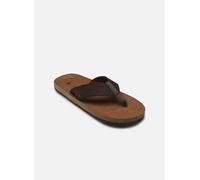 Rieker 20152, Chanclas Hombre, marrón, 40 EU