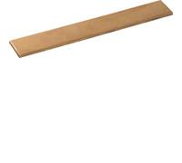 Riel colector cobre 30x5x246mm 1 polo 400A UM31A universal