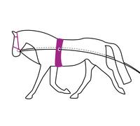 Riendas Lunging rein double QHP