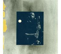 Riessler Michael - Honey And Ash