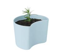 RIG-TIG Maceta con semillas YOUR TREE azul (pino)