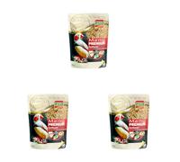 Riga - Menú Premium para Aves Exóticas - Mezcla de Semillas, Cereales y Proteínas Vegetales - Concepto Tri-Nutricional - Ayuda al Funcionamiento Intestinal Óptimo - 1 kg (Paquete de 3)