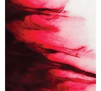 Rigaud Alex - Transformation [Vinilo]