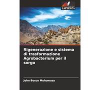 Rigenerazione e sistema di trasformazione Agrobacterium per il sorgo