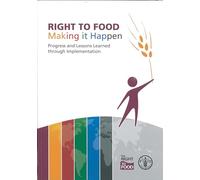 Right to Food: Making It Happen: Progress and Lessons Learned through Implementation