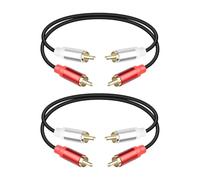 RIIEYOCA Cable RCA Audio 0,3m, Corto 2RCA Macho a 2RCA Macho Cable de Audio Estéreo para Cine en Casa, Altavoces, Amplificador, Subwoofer, Sistema Estéreo (2PCS)