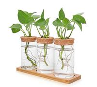 Riisoyu 3 Piezas Estación de Propagación de Plantas, jarrón de Vidrio para Plantas de terrario hidropónico Jarrón de Cristal con Soporte de Madera para Plantas Hidropónicas, Esquejes, Oficina