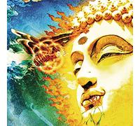 Rikard Sjöblom's Gungfly - On Her Journey To The Sun [Vinilo]