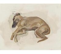 Rikin Liuff Cartel de Dog Resting de Lucian Freud Impresiones abstractas en lienzo Lucian Freud Realismo Arte mural Cuadro vintage para decoración de salón 40x65cmx1 sin marco