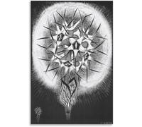Rikin Liuff La flor de M.C. Escher Póster de pared Estética de lienzo Grabados de M.C. Escher Pintura abstracta para la decoración mural 40x50cmx1 sin marco