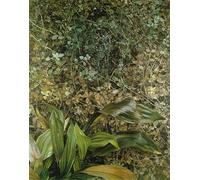 Rikin Liuff Póster de Lucian Freud《Dos plantas》 Pintura Arte mural vintage Impresiones de Lucian Freud Cuadro abstracto en lienzo para la decoración de pared de oficina en casa 40x55cm Sin marco