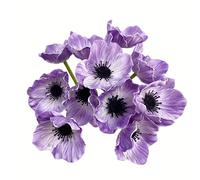 Rikyo 10 ramos de flores artificiales de amapola de 11 pulgadas, anémona sintética, flores silvestres falsas para cocina, mesa, jarrón, hogar, boda, sosteniendo flores, telón de fondo de pared