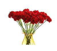 Rikyo Ramos de 20 Pulgadas, 10 claveles de Tallo, no se decolora, pétalos de Seda, Flores Falsas para Siempre, Plantas para Bodas, Fiestas, hogar, Oficina, Restaurante, Mesa, centros de Mesa (Rojo)