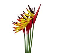 Rikyo Strelitzia - 6 Flores Artificiales de Ave del paraíso de 58 cm, Flores permanentes de imitación Tropicales, Ramos de Flores para decoración de Oficina, hogar, Fiesta, arreglo de Plantas en