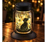 Riletese Linterna solar para perros, regalos para amantes de los perros | Regalos de cumpleaños, día de la madre, Navidad, para mujeres, mamá, abuela, amantes de los perros, decoración conmemorativa