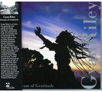 Riley,Gyan - Stream Of Gratitude