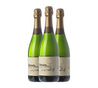 Rimarts 24 Brut Nature Cava Reserva 75 spumoso blanco (Caja de 3 Botellas de 75 cl)