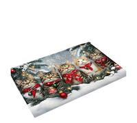 Rimmean Alfombra Bonita for El Suelo con Diseño De Gato, Felpudo Bienvenida for Sala Estar Al Aire Libre, Decoración del Hogar Y Dormitorio, 1 Ud(40X60CM 1.3X2FT)