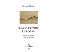 Rincorrendo la poesia. Versi di un cammino spazio-temporale (Parerga)