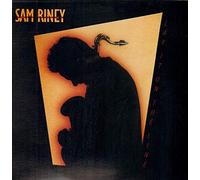 Riney,Sam - Lay It on The Line [Import] [Vinilo]