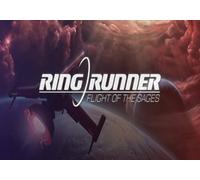Ring Runner: Flight of the Sages (PC) Steam Gift - GLOBAL