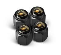 RINGDSW Tapas de Vástago de Neumático,Válvula con Anillo de Goma para Coche,para Lamborghini Reventon 2008, 2009.