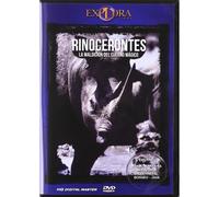 RINOCERONTES