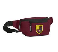Riñonera con Bolsillo Exterior de Harry Potter Wizard, 230x90x120mm