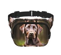 Riñonera con cremallera de Labrador Retriever marrón, bolsas cruzadas con correa ajustable para correr, ciclismo, Black, Talla única
