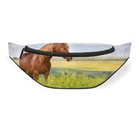 Riñonera con diseño de campo de flores de caballo para hombres, mujeres, niños y niñas, riñonera de caballo, deportiva, senderismo, correr, bolsa de cinturón, color, M, Organizador de bolsas