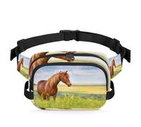 Riñonera con diseño de campo de flores de caballo para mujeres, hombres, niñas y niños, riñonera de caballo para correr, deportes, senderismo, bolsa de cinturón, color, XL, Organizador de bolsas