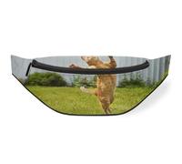 Riñonera con diseño de gato jengibre para mujeres, hombres, niñas, niños, gatos, riñoneras, bolsa de cinturón para viajes, deportes, correr, color, M